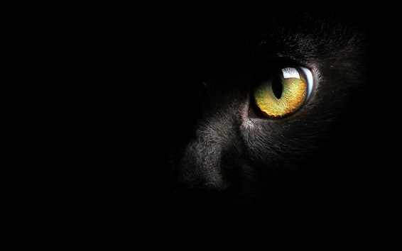 Black Cat eyes